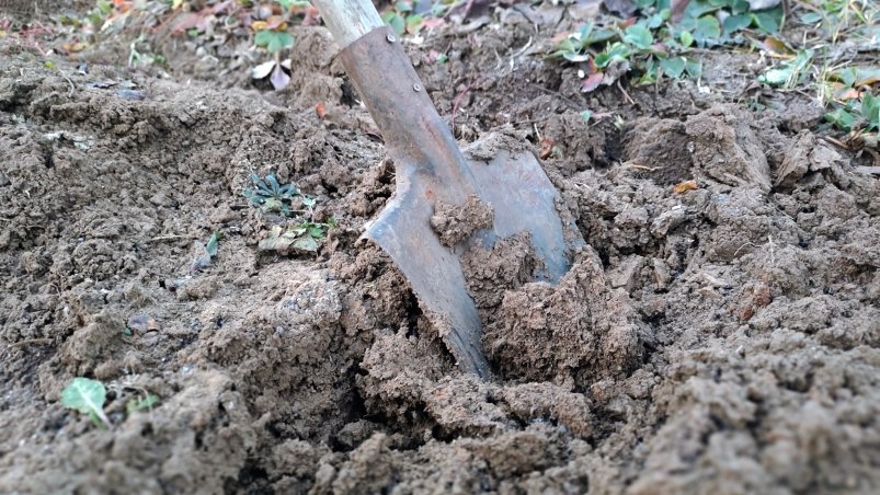 Грунт Автора