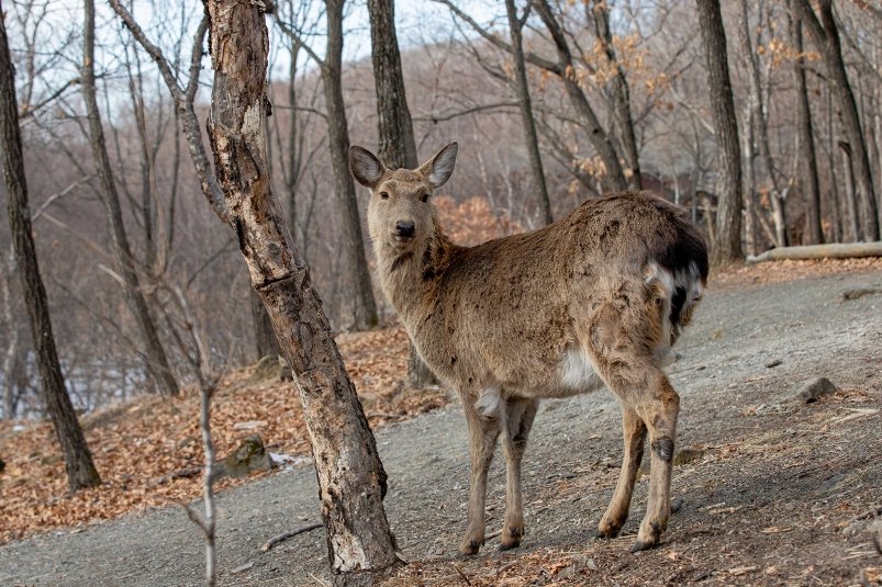 Тематическое фото Мария Смитюк, ИА PrimaMedia.ru