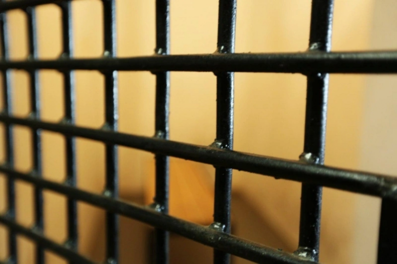 Тематическое фото ИА PrimaMedia