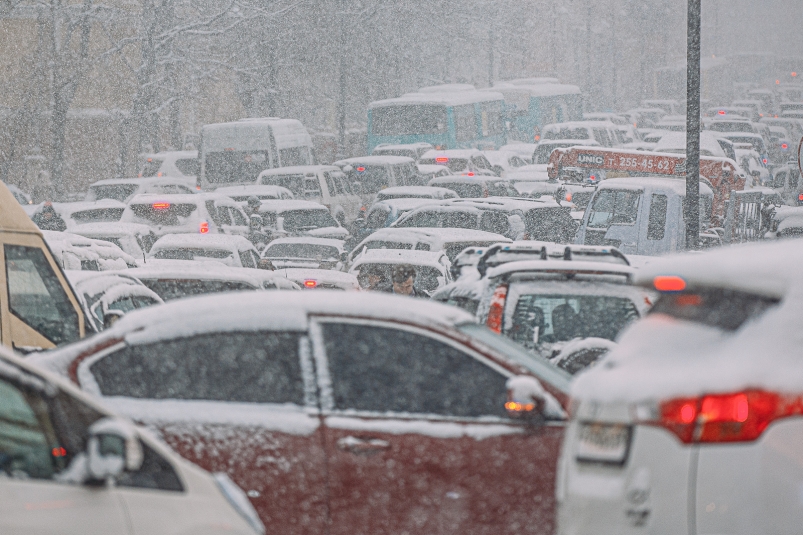 Тематическое фото Мария Смитюк, ИА PrimaMedia