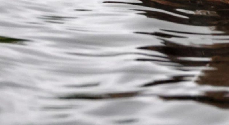 Тематическое фото Прокуратура Магаданской области