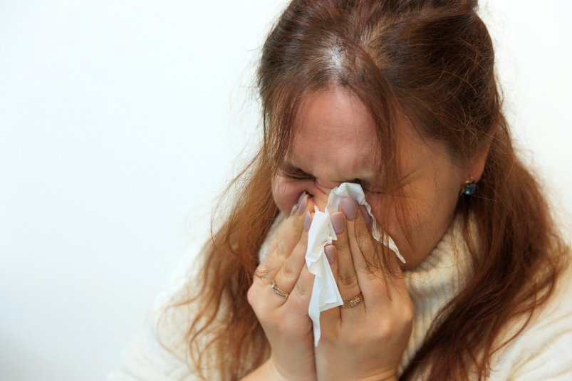 Тематическое фото Яна Гайдук, ИА PrimaMedia.ru