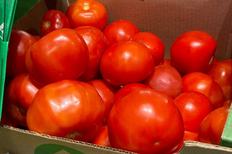 Сажаю томат-богатырь - и собираю 19 кг с квадратного метра: плоды крупные, мясистые и сладкие фото автора