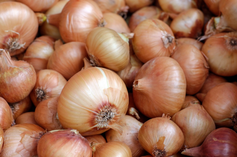 Тематическое фото pxhere.com