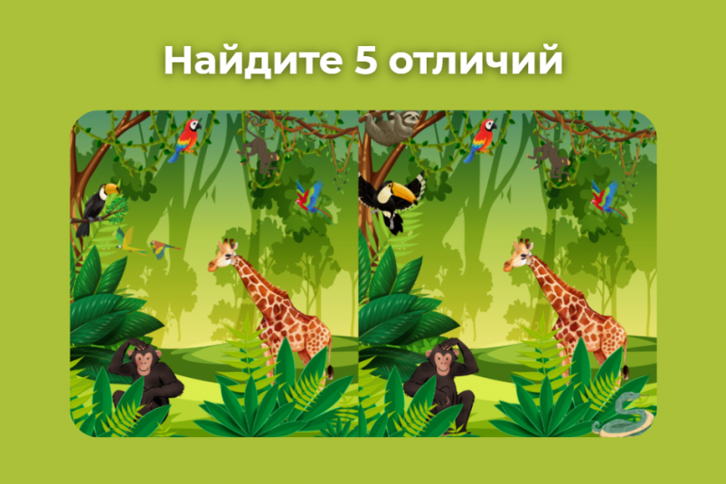 Тематическое фото ИА EAOMedia