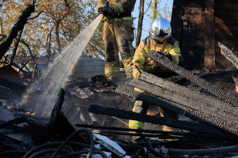 Тематическое фото ИА OmskMedia