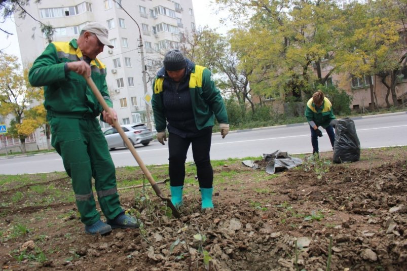 Высадка роз Соцсети главы администрации Феодосии Владимира Кима