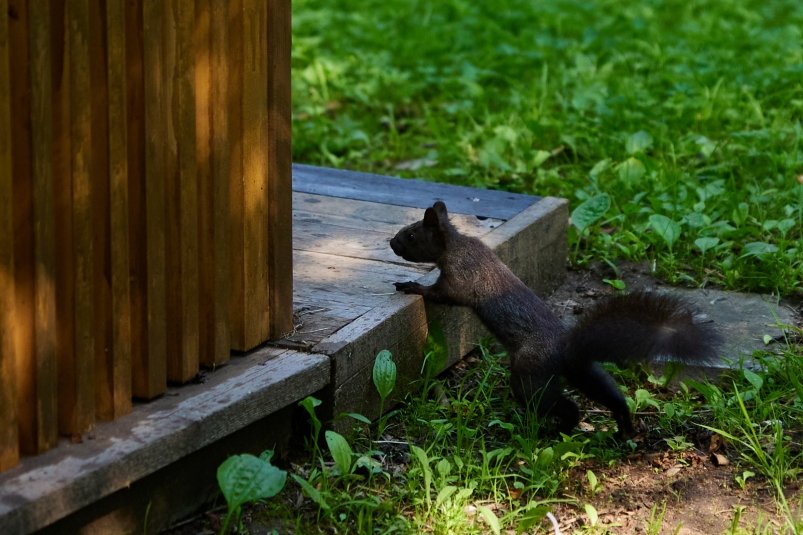 Тематическое фото Дмитрий Осипчук, ИА PrimaMedia.ru