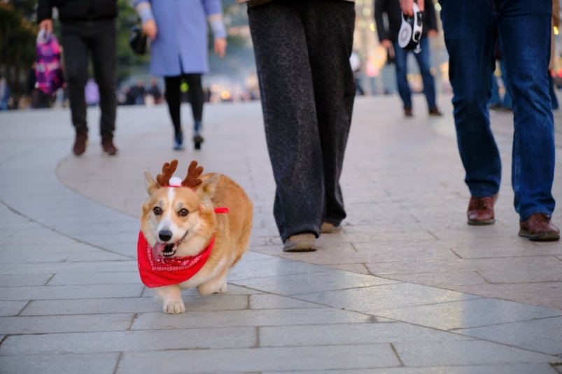 Тематическое фото Соцсети главы администрации Ялты Янины Павленко