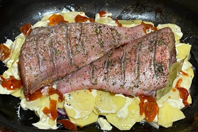 Тематическое фото "ИА PrimaMedia"