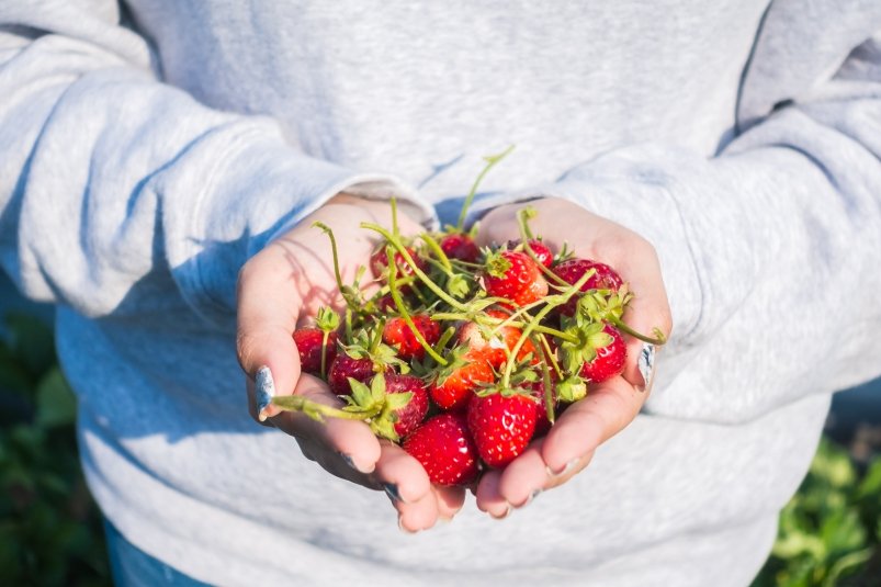 Тематическое фото freepik.com