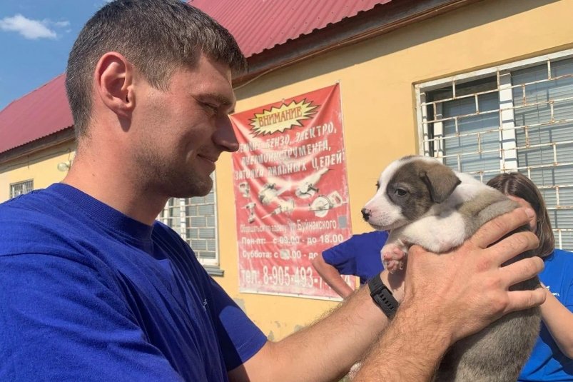 Сон без слез: как ваш щенок может спать 12 часов без перерыва - советы собаковода фото автора