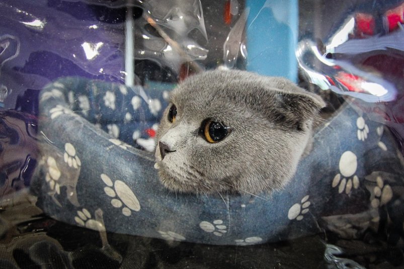 тематическое фото ИА ЕАОMedia