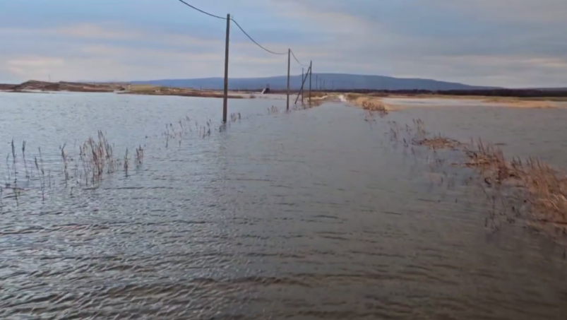 Дорога скриншот видео