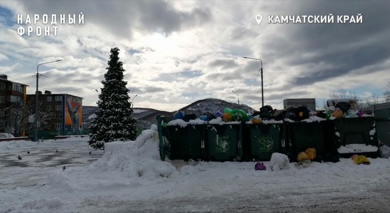 Елочка в новом парке на Батарейной ОНФ Камчатский край