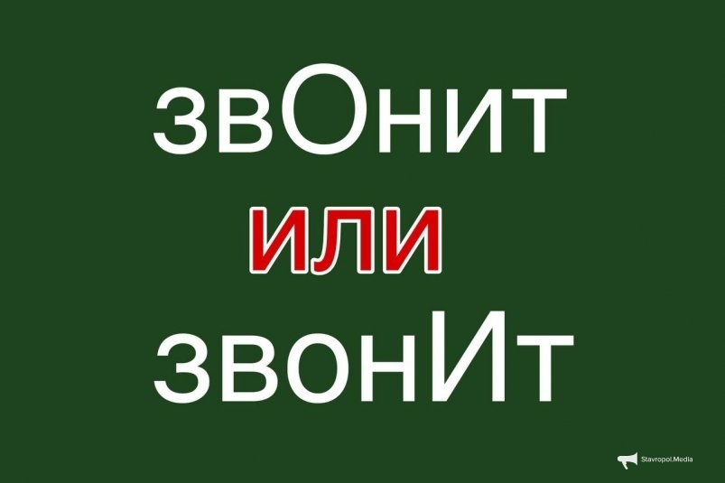 Даже профессора спотыкаются: "звОнит" или "звонИт" - знаете правило? Проверьте себя ИА Stavropol.Media