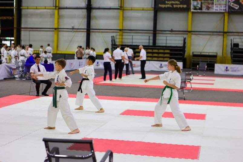Около 200 сахалинских спортсменов боролись за звание сильнейших в киокусинкай пресс-служба министерства спорта Сахалинской области
