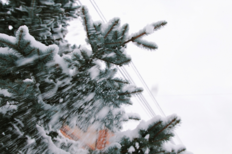 Тематическое фото Владислав Беляцкий, ИА SakhalinMedia