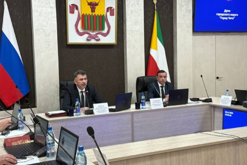 Заседание думы тг-канал (18+) городской думы