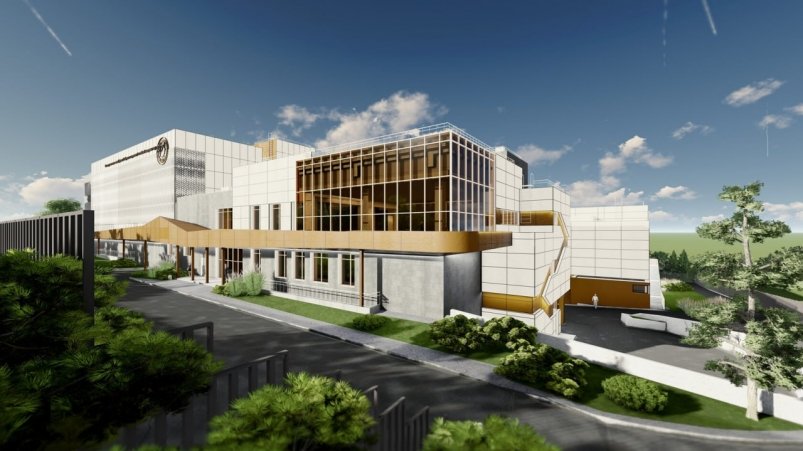 В СО РАН прокомментировали вырубку деревьев в Академгородке Иркутска Тг-канал (18+) Иркутского отделения СО РАН