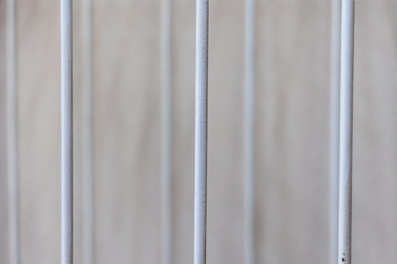 решетка, тюрьма, клетка Евгений  Кулешов, ИА PrimaMedia.ru