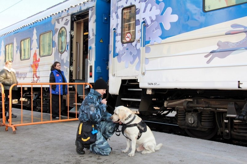Поезд Деда Мороза (0+) в Уссурийске пресс-служба УТ МВД России по ДФО, по материалам ЛО МВД России на ст. Уссурийск.