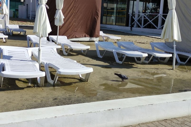 Насколько выросли цены на отдых летом 2026 года в Сочи, Анапе и Геленджике Карина Подкина