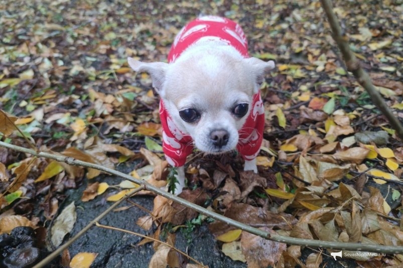 Тематическое фото ИА Stavropol.Media