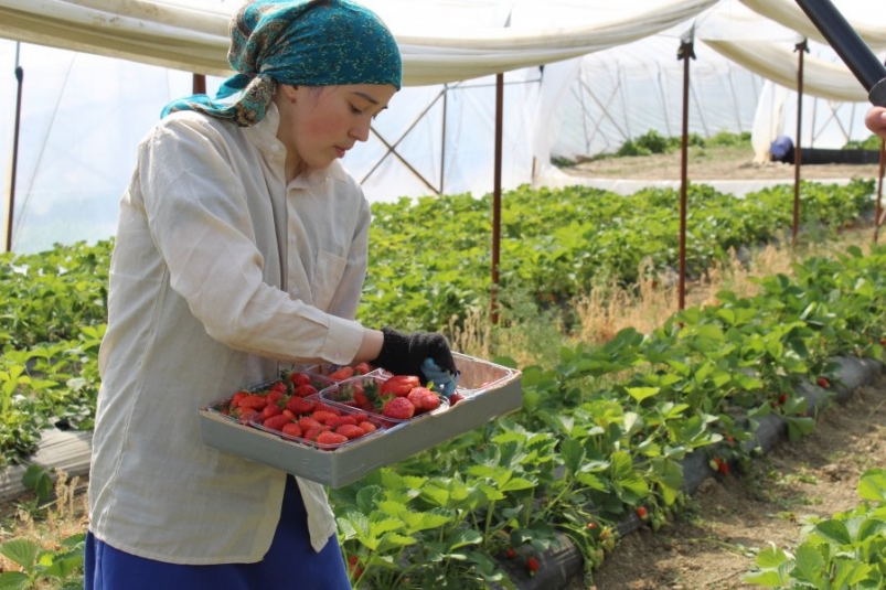 Назван лунный календарь дачника на декабрь 2025 года: благоприятные и неблагоприятные дни Сайт правительства Севастополя