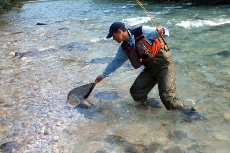 Всего 2 капли на леску - и устанете тащить жирных карасей: рыбаки визжат от такого улова pxhere