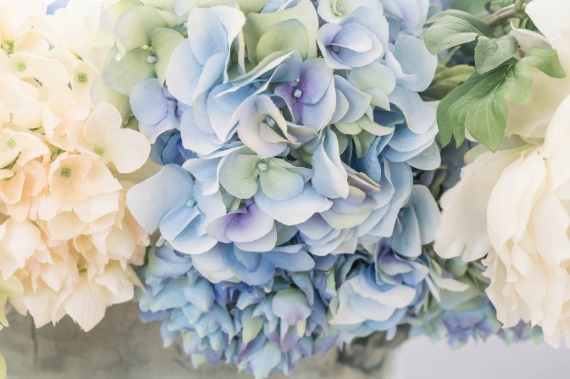 Тематическое фото freepik.com