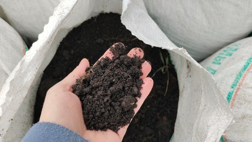 Грунт Автора