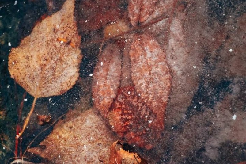 Тематическое фото t.me/yulia_guslyakova