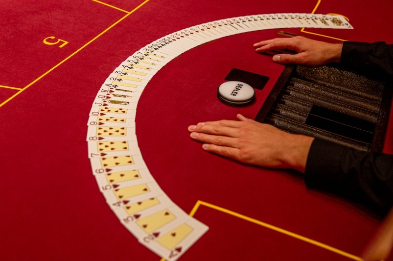 Тематическое фото Мария Смитюк, ИА PrimaMedia.ru