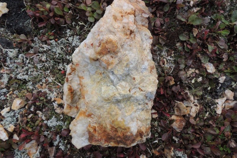 Пример изучаемой породы ИВис ДВО РАН