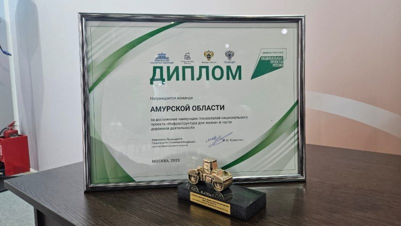 Символический золотой каток вручен региону, где дороги - одни из худших в России телеграм-канал "Василий Орлов" (18+)