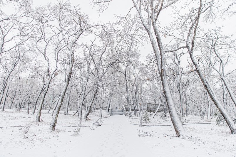 снег, метель, холод, зима, циклон, погода, снегопад, осадки, прогноз, гололед, похолодание Мария Смитюк, ИА PrimaMedia.ru