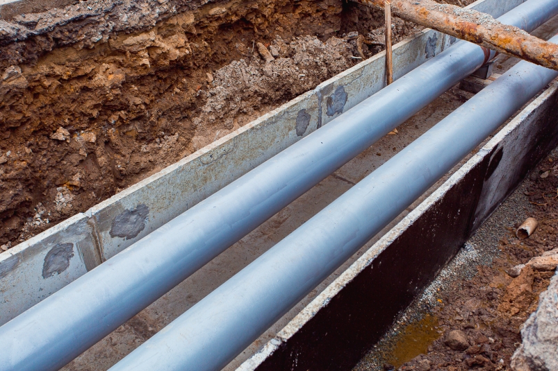 Тематическое фото Илья Аверьянов, ИА PrimaMedia