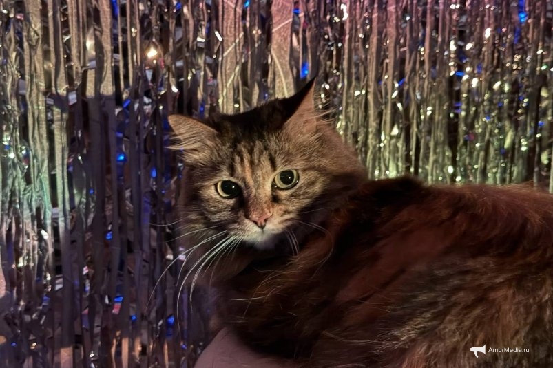 Тематическое фото ИА AmurMedia