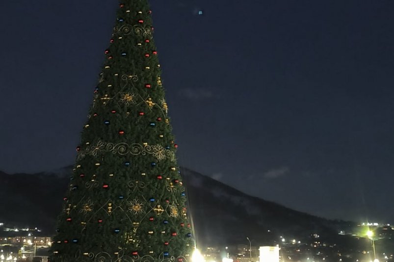 Фото Ирина Васильева, ИА KamchatkaMedia