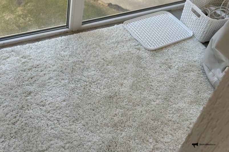 2 капли - и 20-летний ковер задышит чистотой: древние пятна отходят, а ворс мягче, чем у нового ИА StolicaMedia