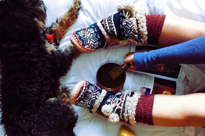 Тематическое фото pxhere.com (18+)