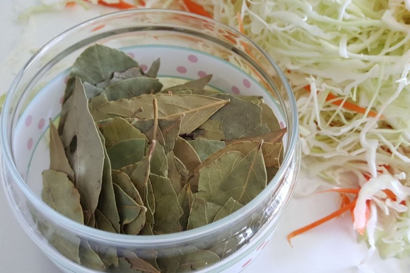 Тематическое фото pxhere.com