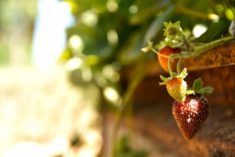 Тематическое фото Unsplash.com