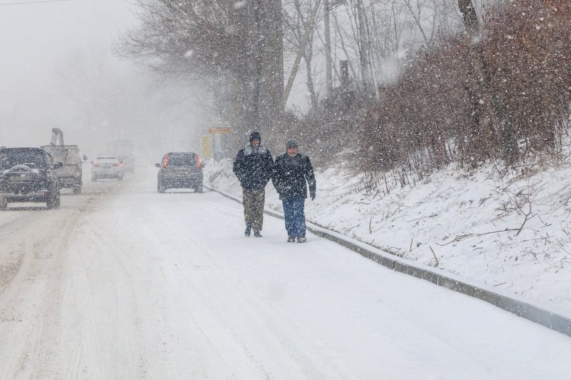 Все муниципалитеты Дона получили паспорта готовности к зиме Евгений  Кулешов, ИА PrimaMedia.ru