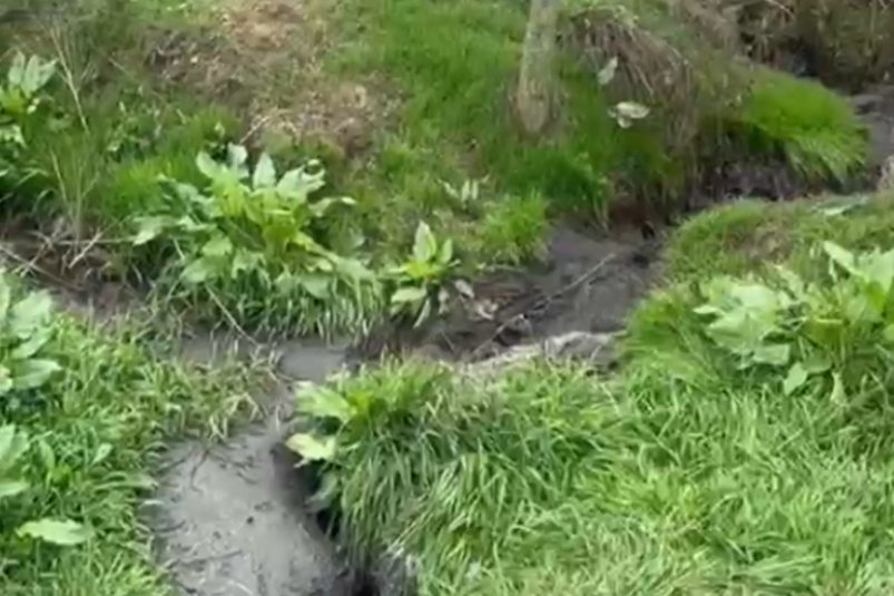 Сброс стоков в реку Грушевку в Шахтах не подтвердился телеграм-канал (18+) Антонины Пшеничной