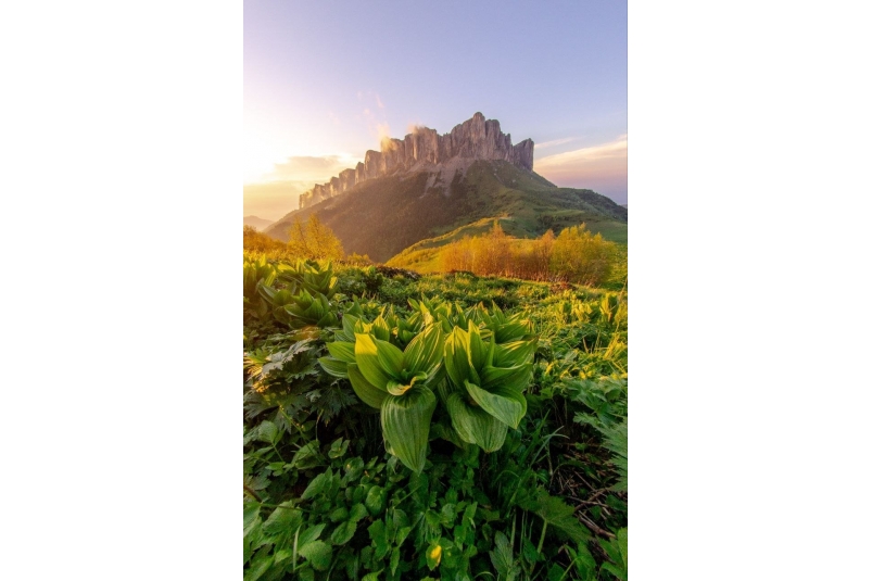 Лучшие фотографии Ставрополья за неделю Иван Губский (t.me/ivangubskiy)