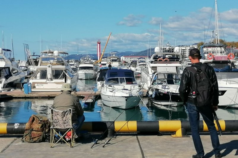 Турпоток на Кубань может резко сократиться из-за роста туристического налога Карина Подкина