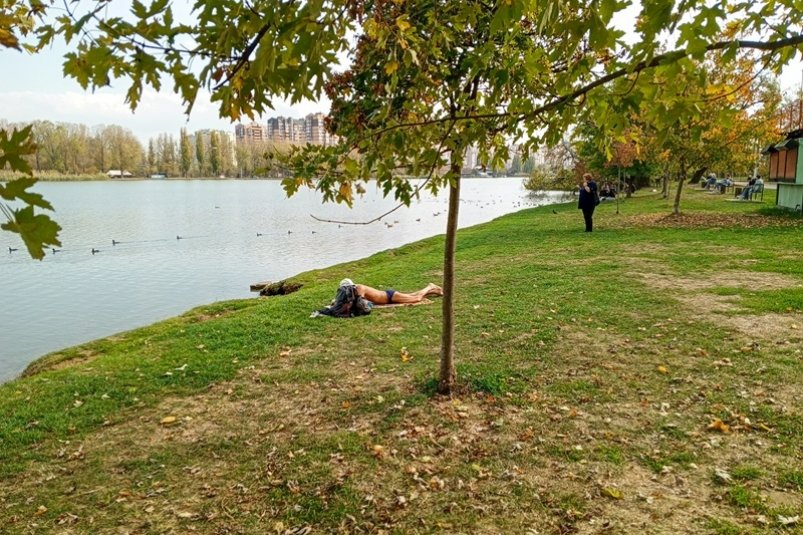 В Краснодаре 19 ноября побит температурный рекорд 40-летней давности Ирина Ленская