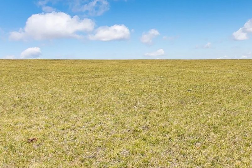 За хищение более 2 млн рублей субсидий осудили фермера на Ставрополье УФСБ России по Ставропольскому краю